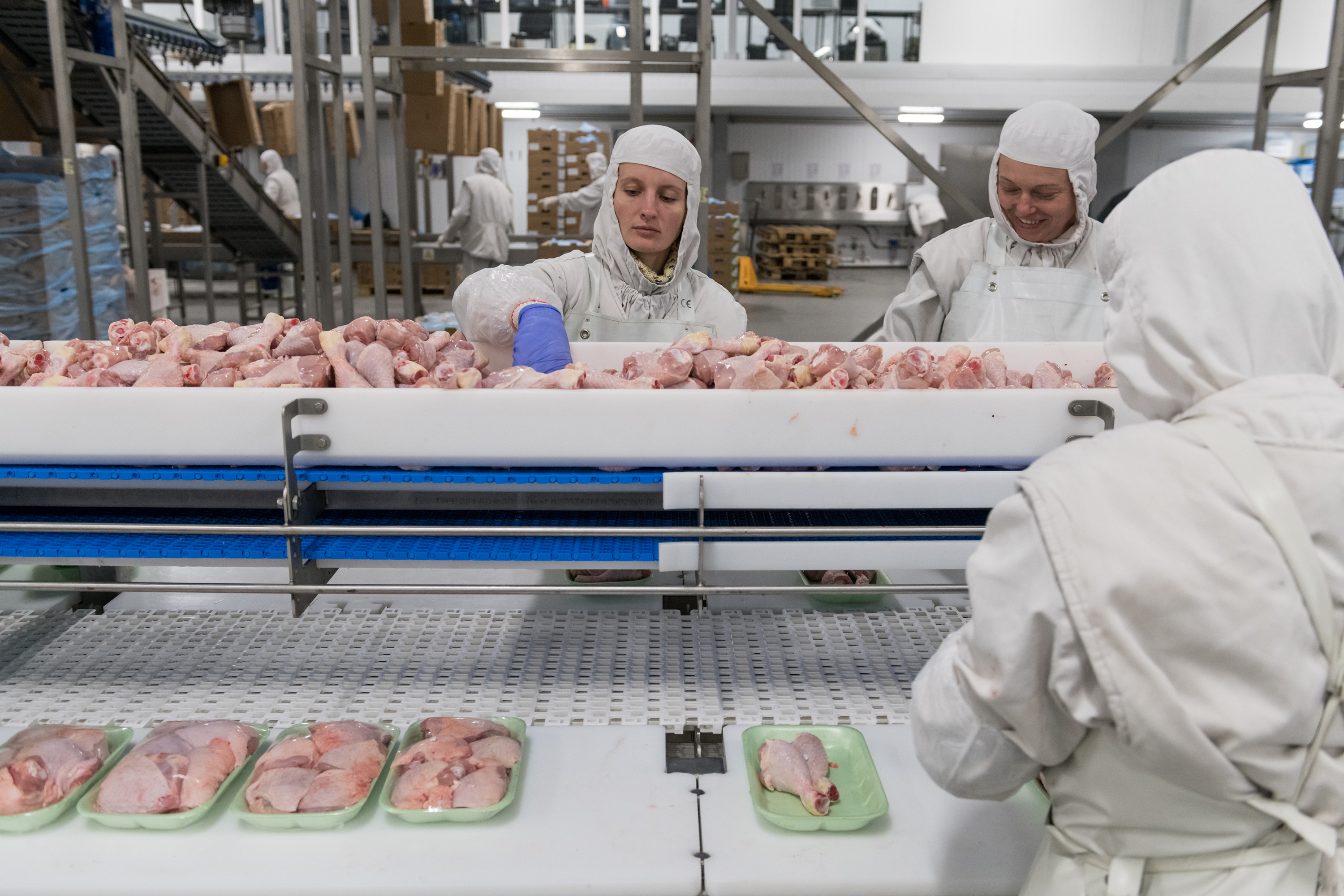 Макинская птицефабрика произвела первые 1500 тонн мяса птицы